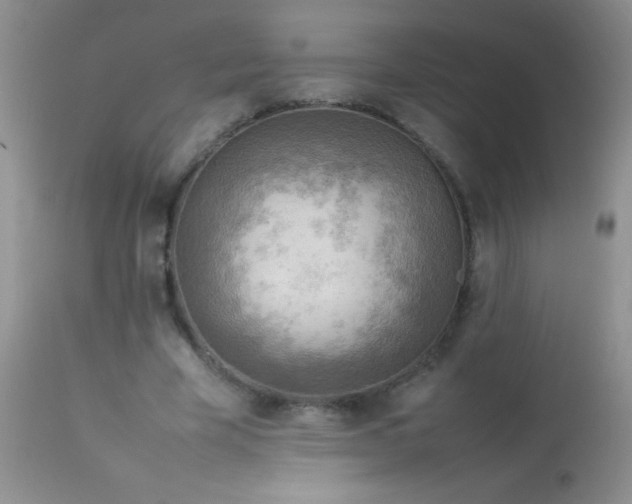 X0000114220585200910091349