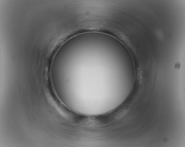 X0000114220589200910091349