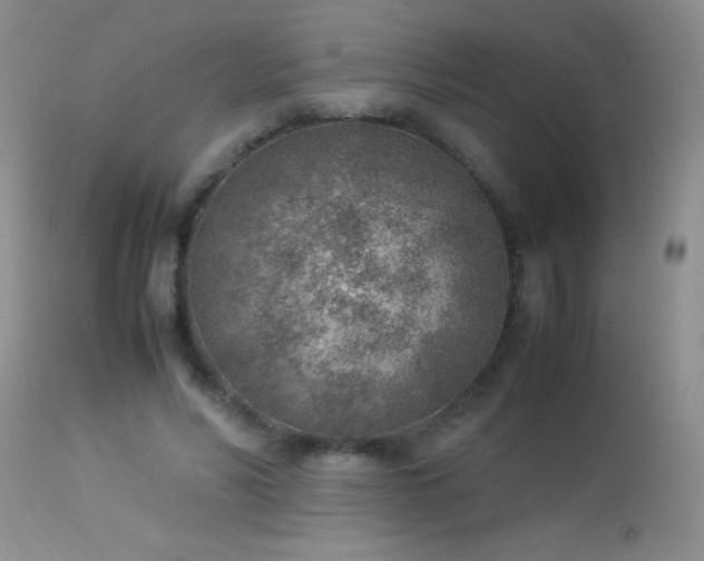 X0000114220590200910091349