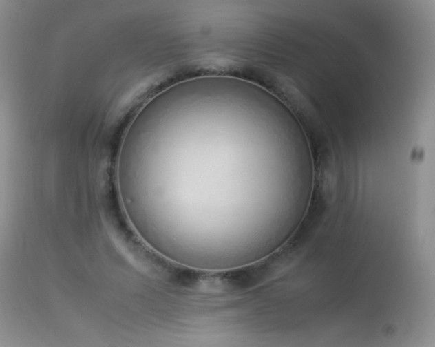 X0000114220591200910091349