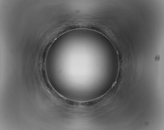 X0000114220593200910091349