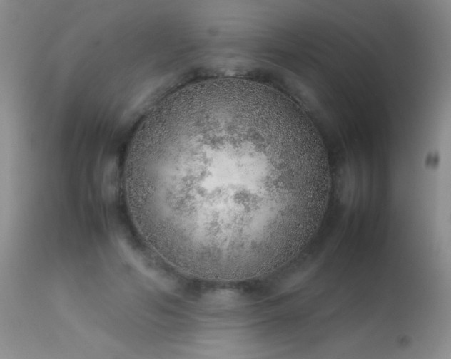 X0000114220594200910091349