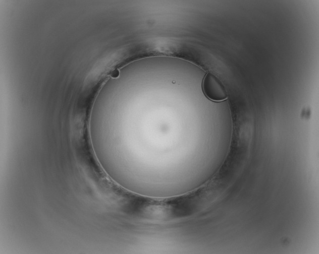 X0000114220595200910091349