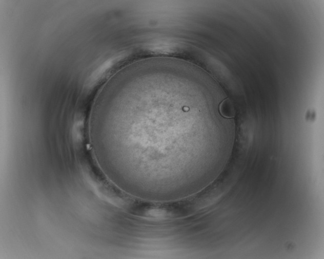 X0000114220596200910091349