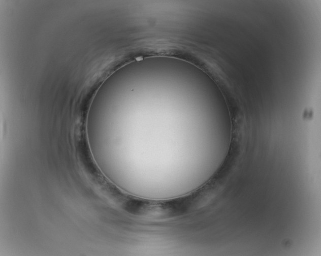 X0000114220597200910091349