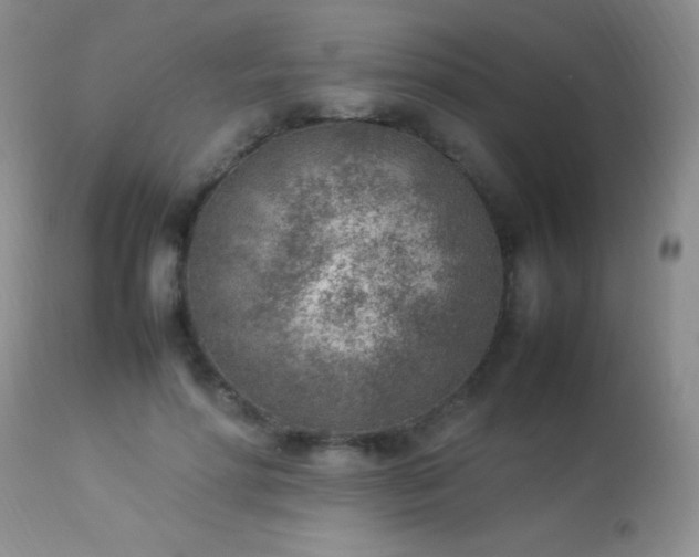 X0000114220598200910091349