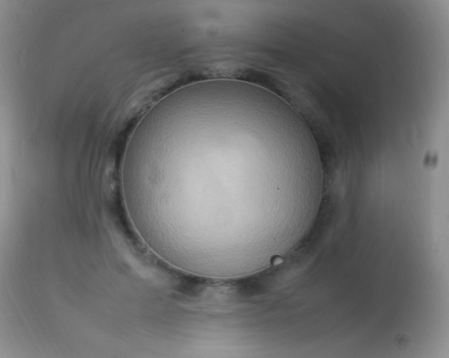 X0000114220599200910091349