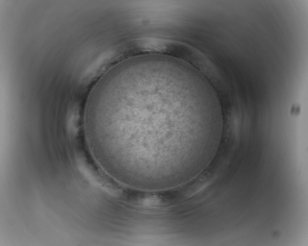 X0000114220600200910091349