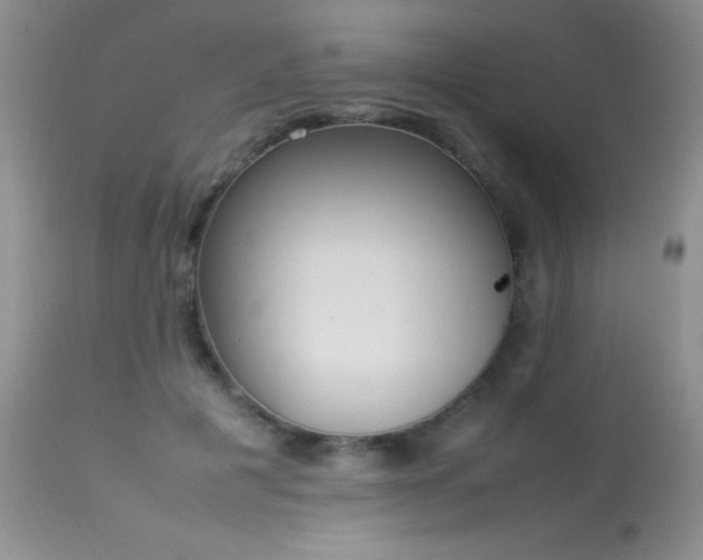 X0000114220601200910091349