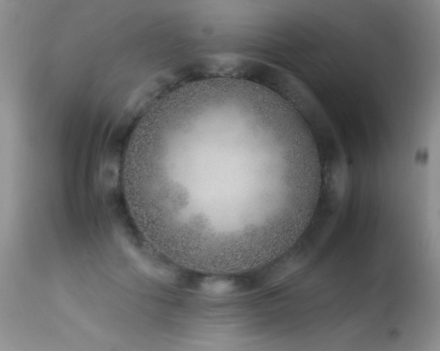 X0000114220602200910091349