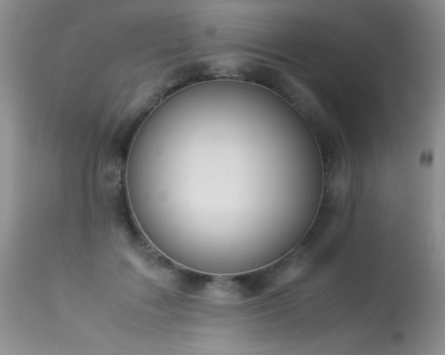 X0000114220603200910091349