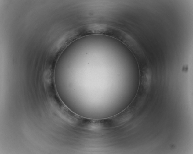 X0000114220604200910091349