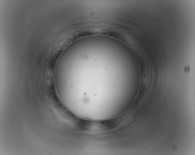 X0000114220605200910091349