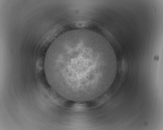 X0000114220606200910091349