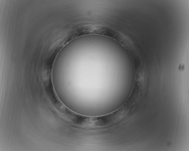 X0000114220607200910091349