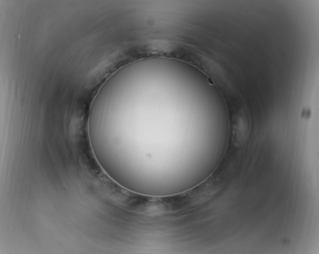 X0000114220608200910091349