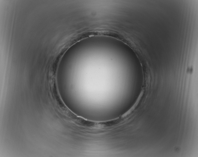 X0000114220609200910091349