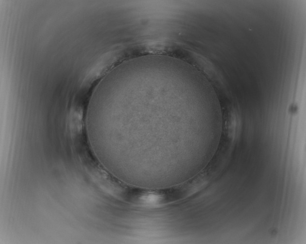 X0000114220610200910091349