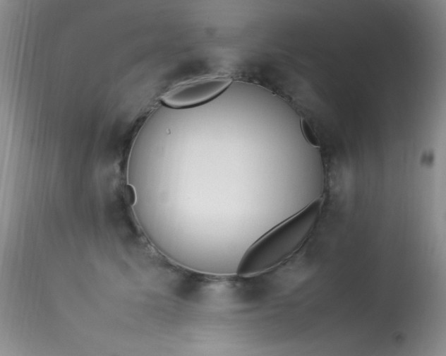 X0000114220611200910091349