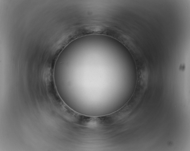 X0000114220612200910091349