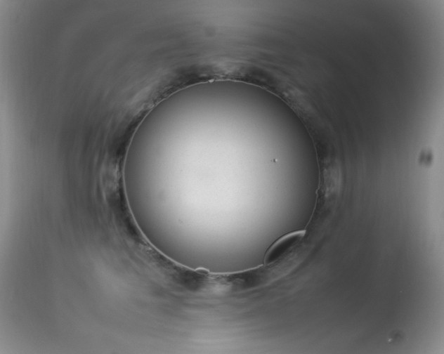 X0000114220613200910091349