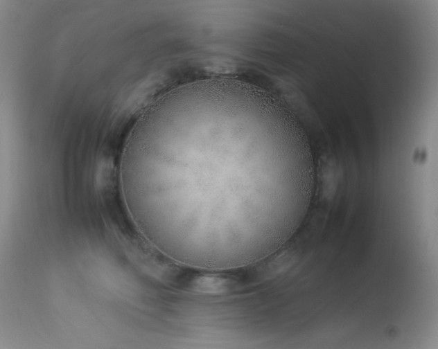 X0000114220614200910091349