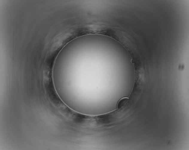 X0000114220615200910091349