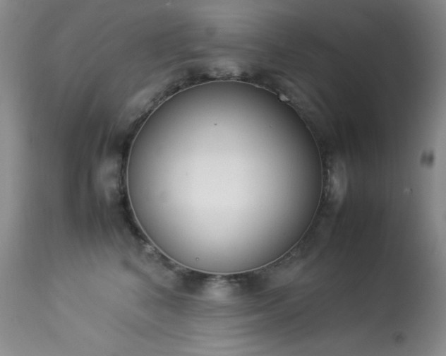 X0000114220616200910091349