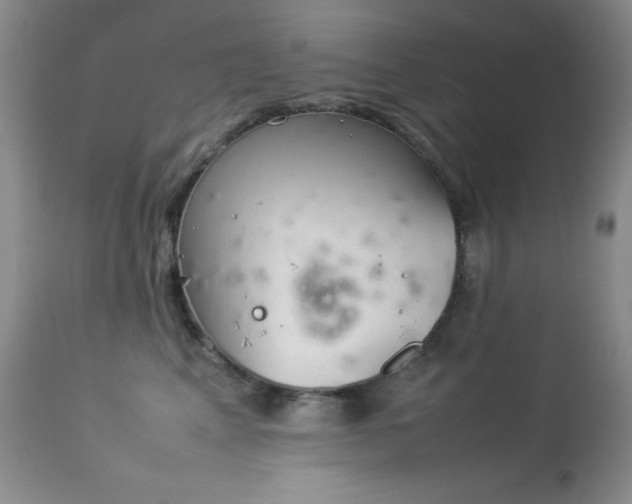 X0000114220617200910091349