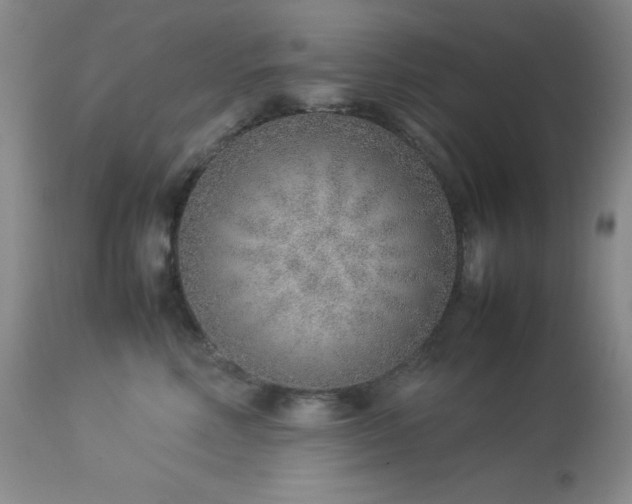 X0000114220618200910091349