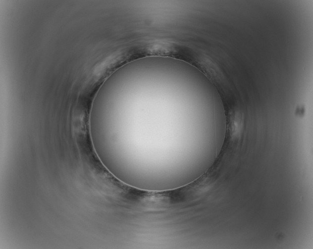 X0000114220619200910091349