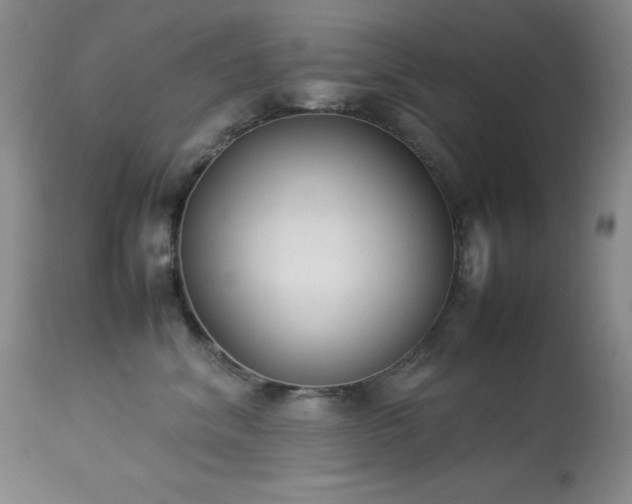 X0000114220620200910091349