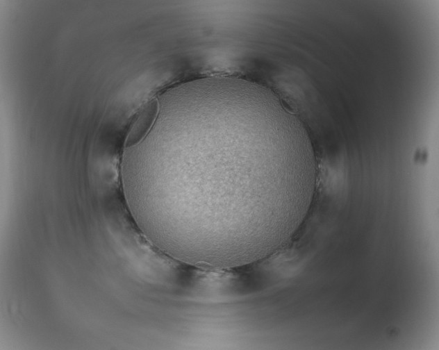 X0000114220621200910091349