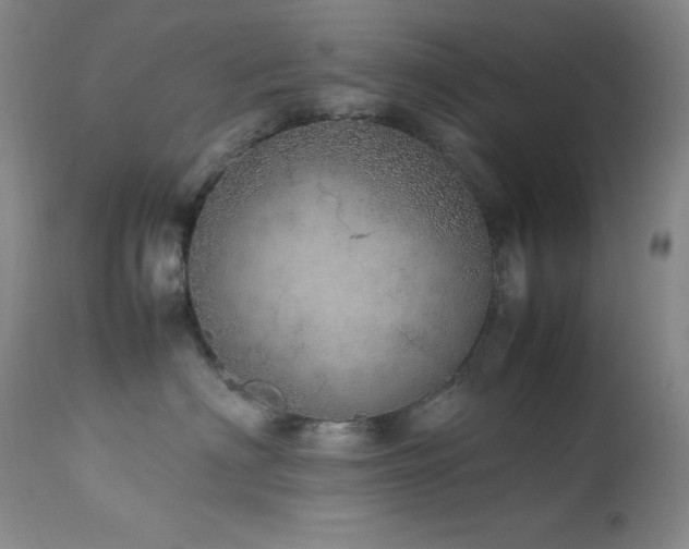 X0000114220622200910091349