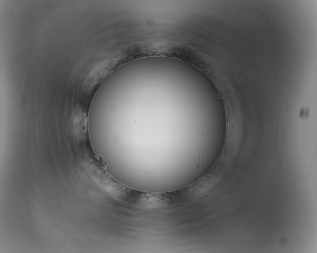 X0000114220624200910091349