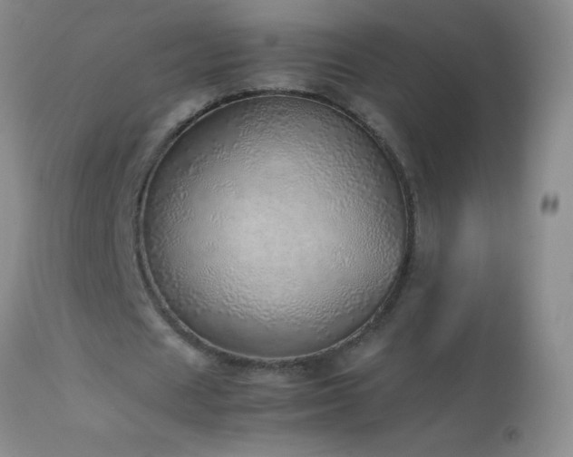 X0000114220625200910091348