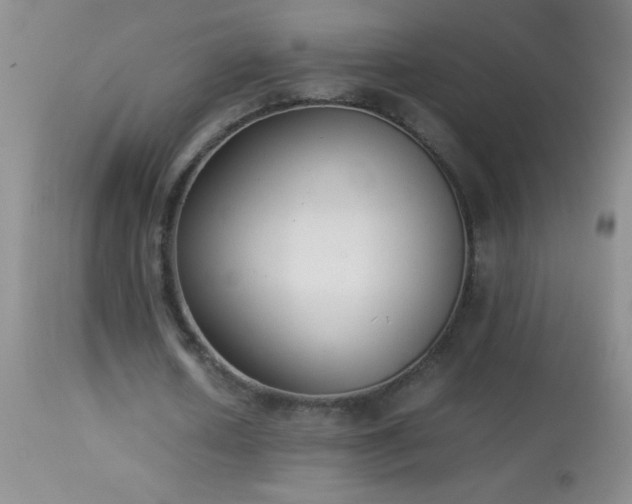 X0000114220626200910091348