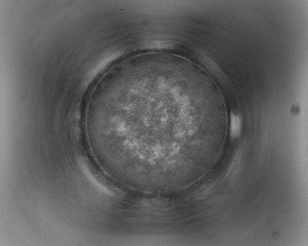 X0000114220627200910091348