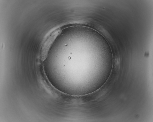 X0000114220628200910091348