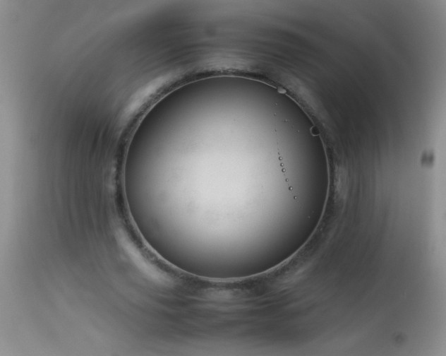 X0000114220629200910091348