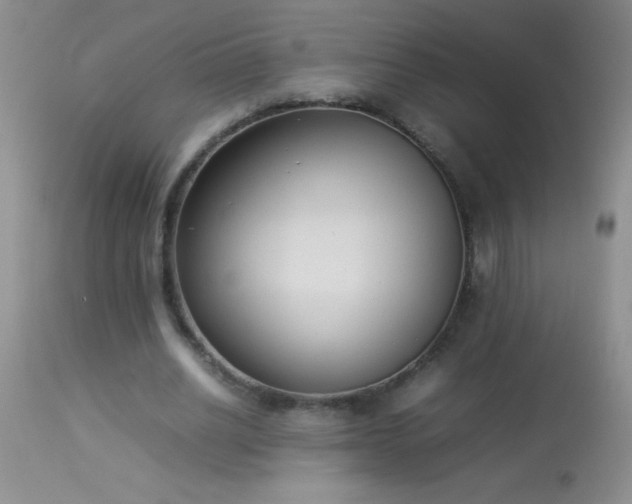 X0000114220630200910091348