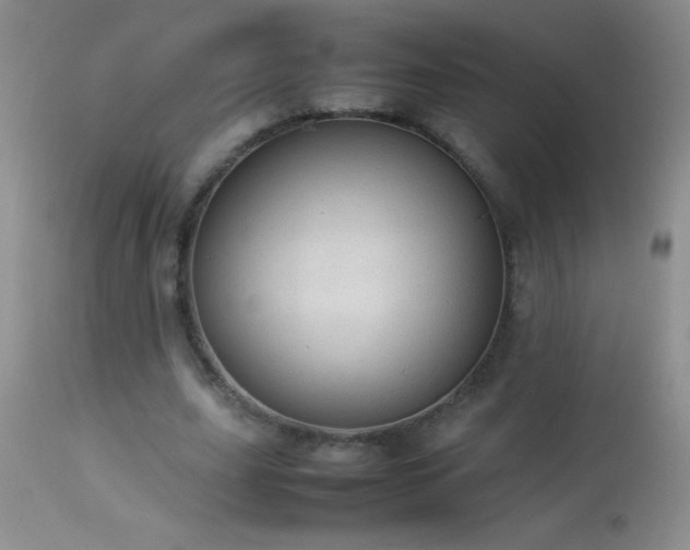 X0000114220631200910091348