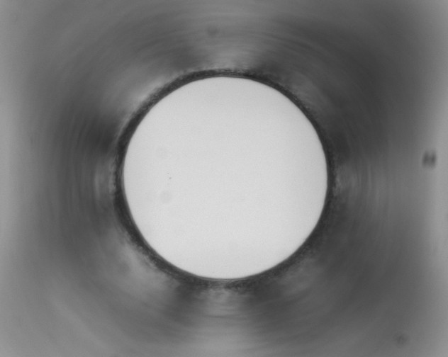 X0000114220632200910091348