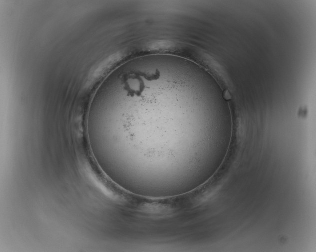 X0000114220633200910091348