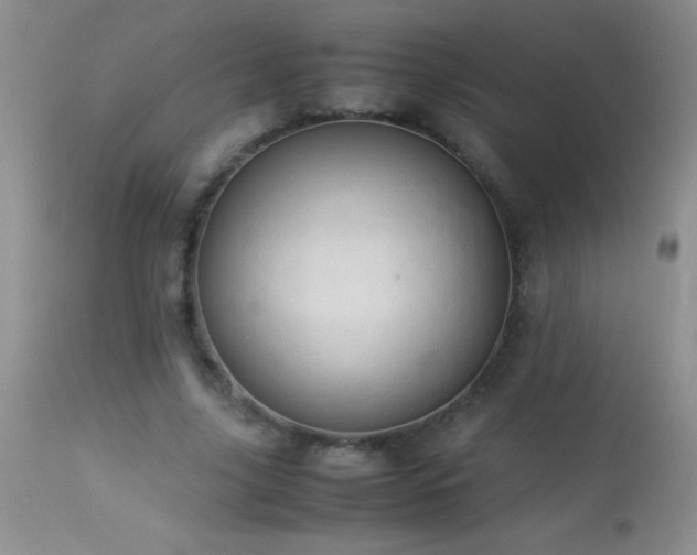 X0000114220635200910091348