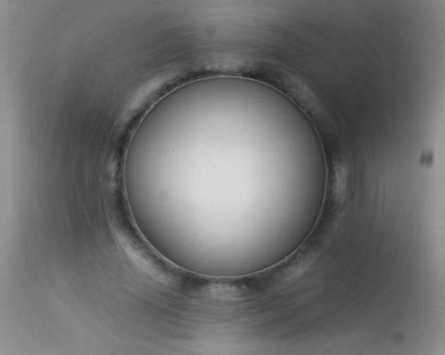 X0000114220636200910091348