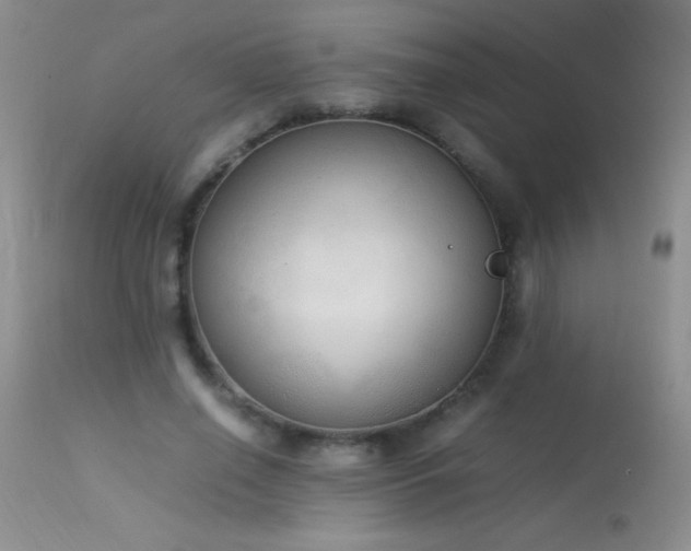 X0000114220638200910091348