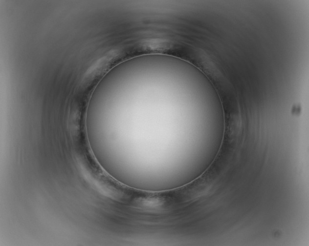 X0000114220639200910091348