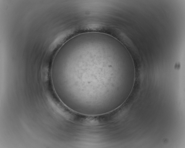 X0000114220640200910091348