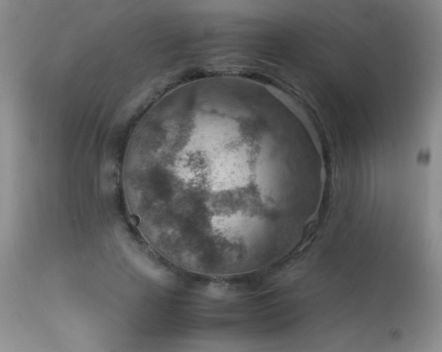 X0000114220641200910091348